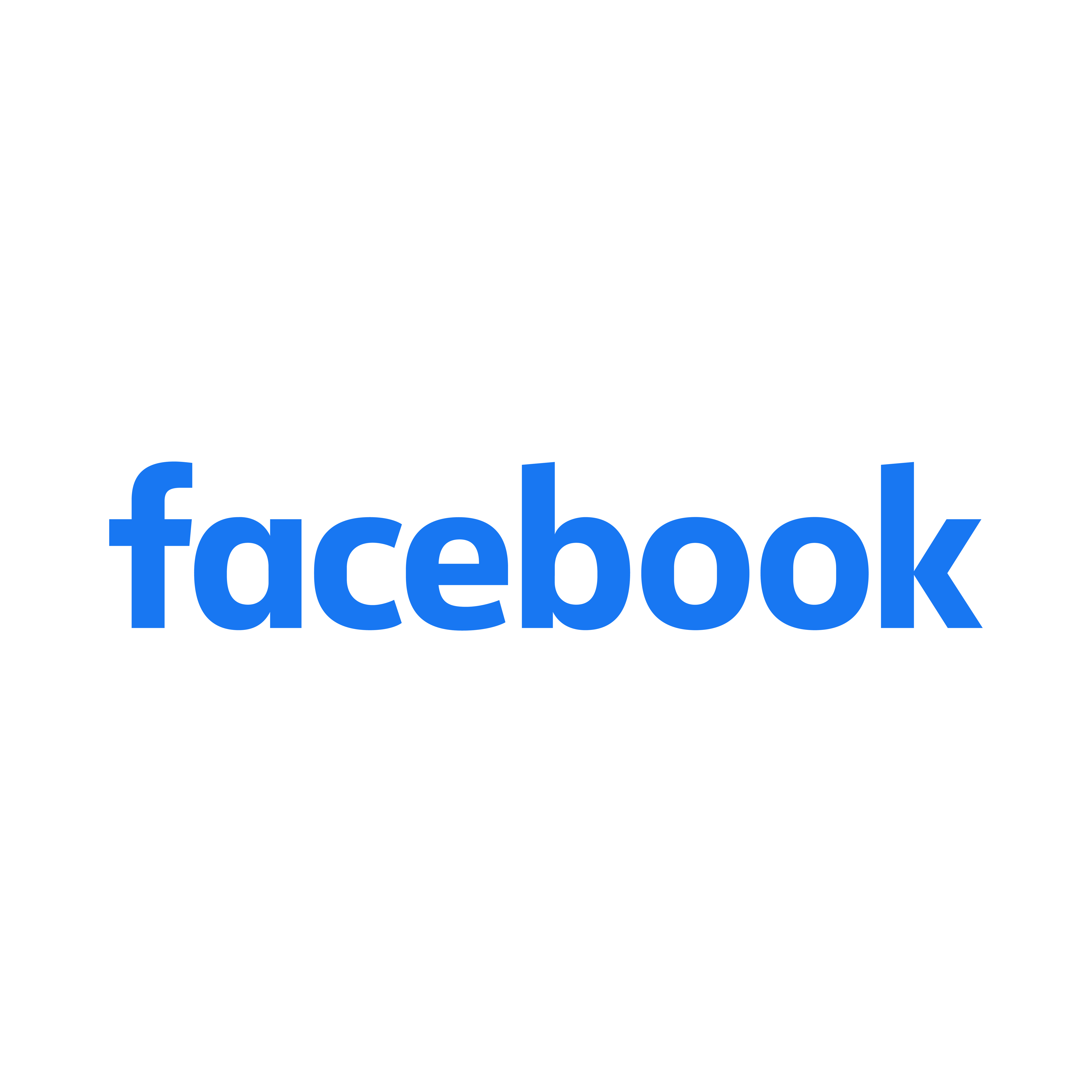 facebook icon